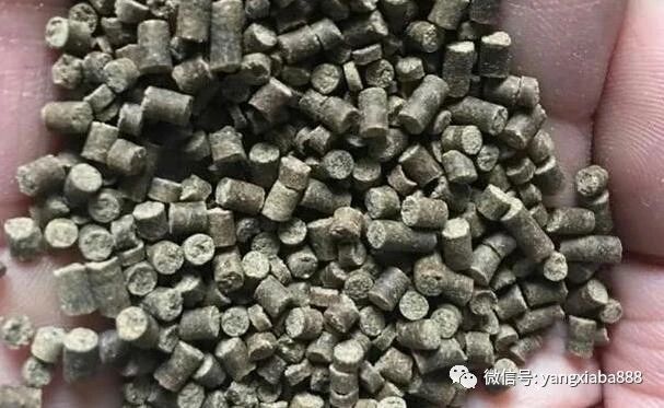 微信图片_20210125100741.jpg
