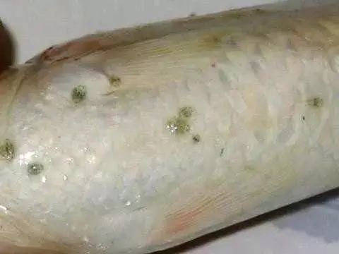 S2.jpg