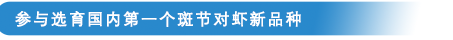 参与选育国内第一个斑节对虾新品种.png