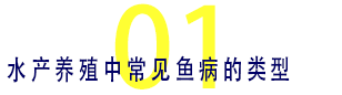 01 水产养殖中常见鱼病的类型.png