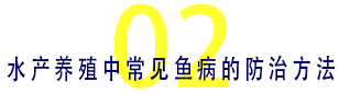 02 水产养殖中常见鱼病的防治方法.png