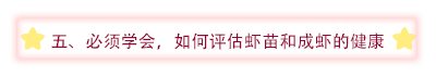 五.png