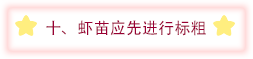 十.png