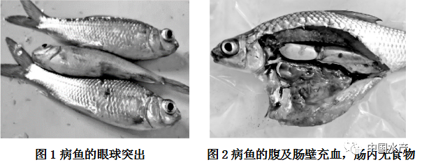 微信图片_20210221215929.png