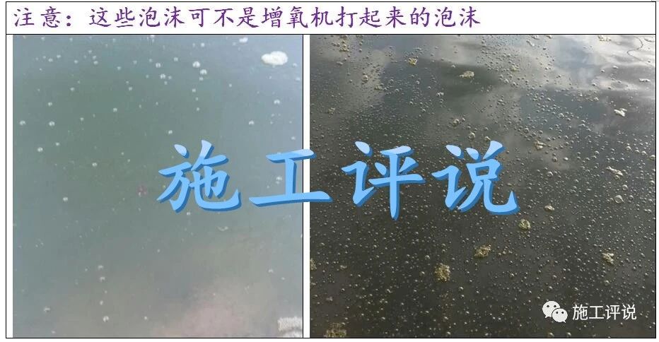 微信图片_20210221225347.jpg