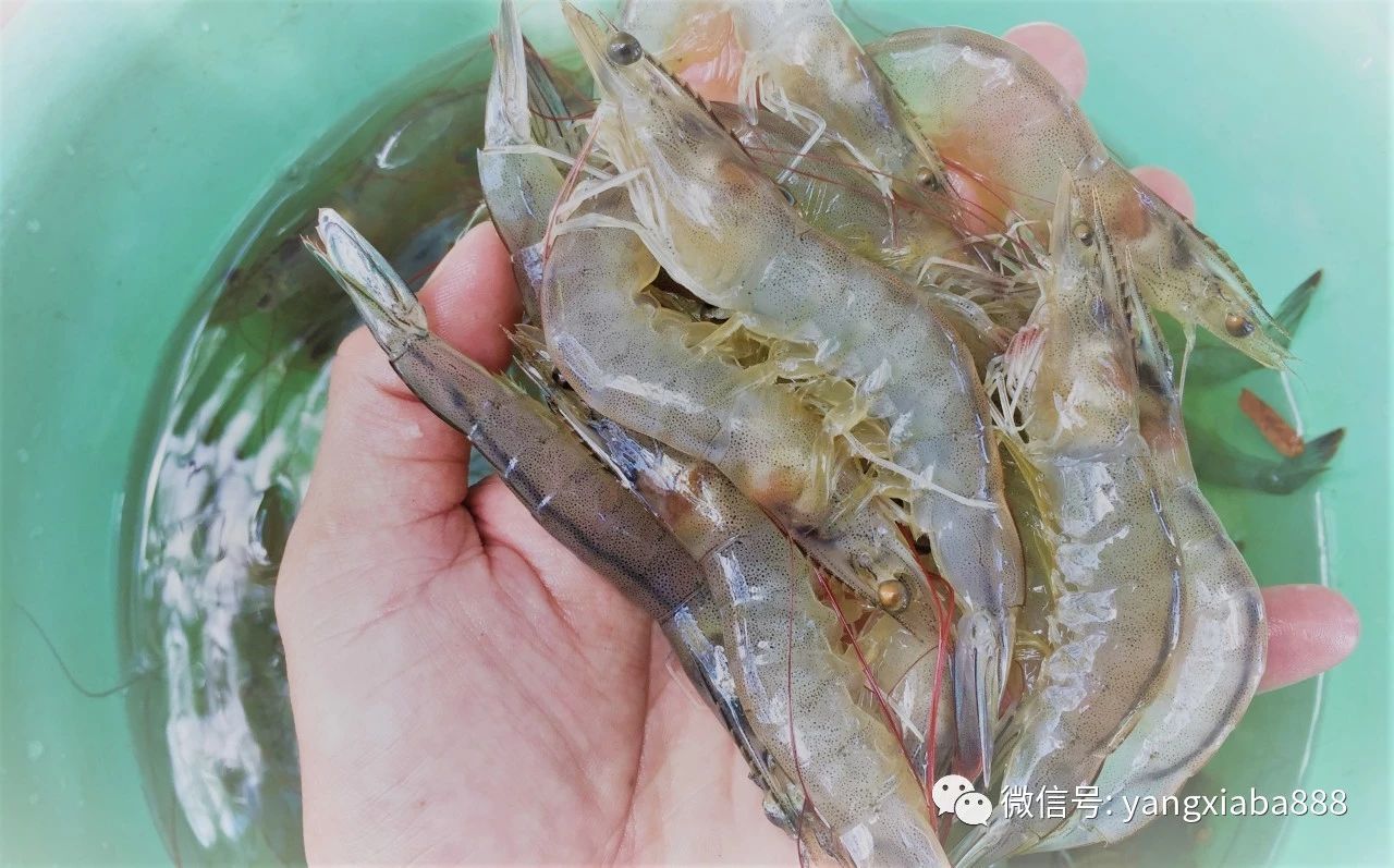 微信图片_20210221233017.jpg