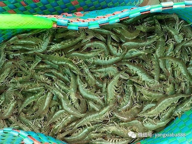 微信图片_20210221233303.jpg