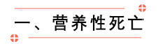 营养性死亡.png