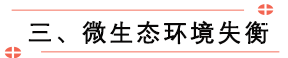 未标题-1.png