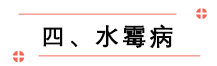 四、水霉病.png