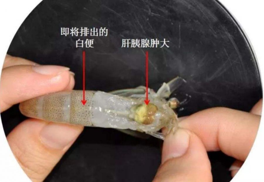 微信图片_20210309101048.jpg