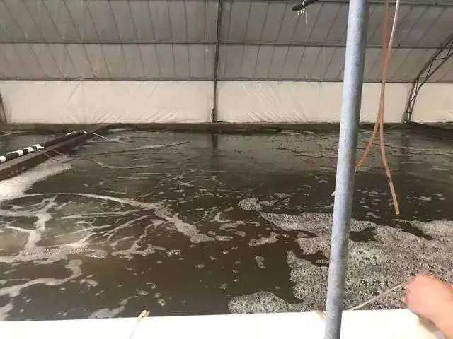 微信图片_20210309101206.jpg