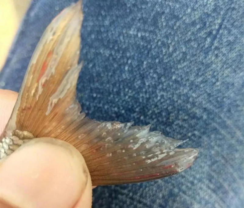092134721.jpg