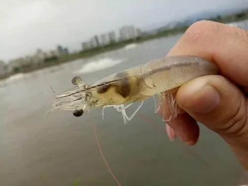 微信图片_20210319105548.jpg