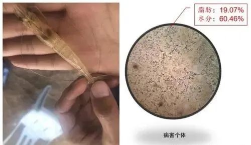 微信图片_20210319105642.jpg