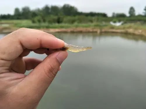 微信图片_20210323102209.jpg