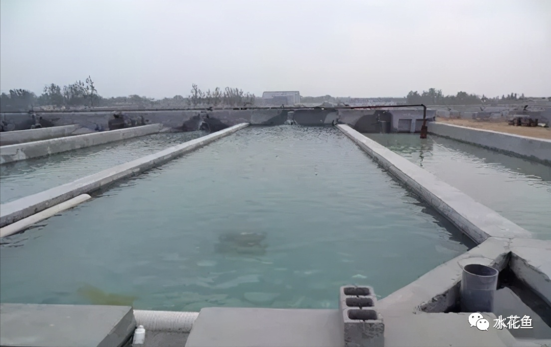 微信图片_20210326105128.png