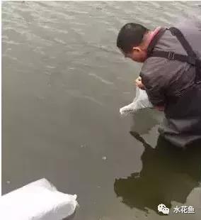 微信图片_20210326105321.jpg
