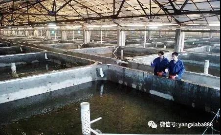 微信图片_20210329104459.jpg