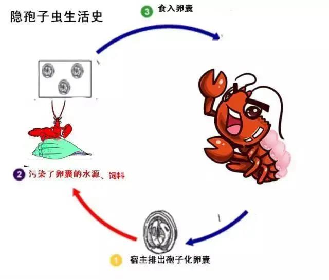 微信图片_20210330095437.jpg