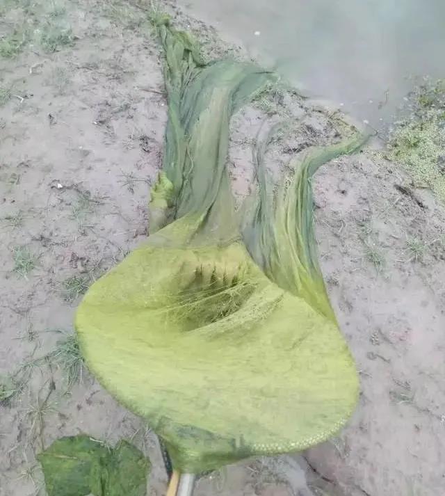 微信图片_20210331143527.jpg