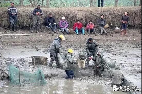 微信图片_20210331145118.jpg
