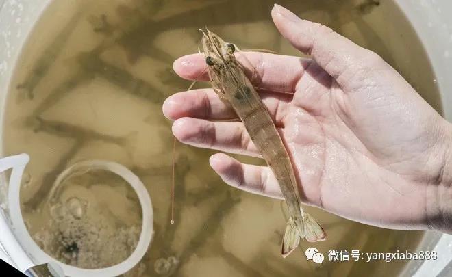 微信图片_20210414095711.jpg