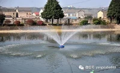 微信图片_20210414103826.jpg