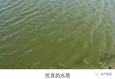 微信图片_20210420141726.jpg