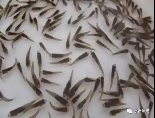 微信图片_20210420141815.jpg