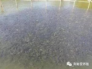 微信图片_20210423095956.jpg