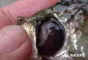 微信图片_20210423100547.jpg