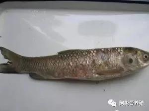 微信图片_20210423100611.jpg