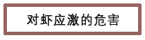 对虾应激的危害.png