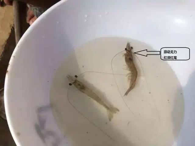 微信图片_20210521143522.jpg