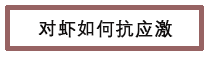 对虾如何抗应激.png