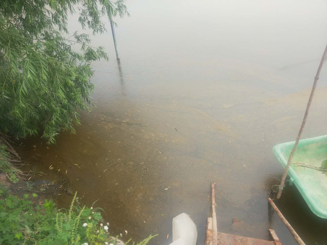 微信图片_20210616130829.png