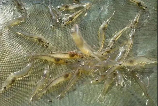 微信图片_20210616140650.jpg