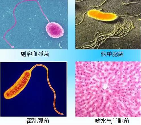 微信图片_20210618131617.jpg