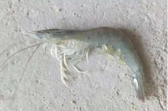微信图片_20210629144137.jpg