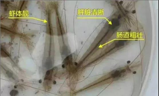 微信图片_20210630145614.jpg