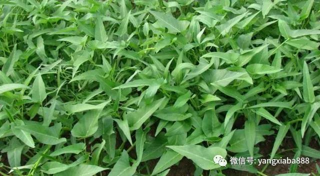 微信图片_20210705094523.jpg