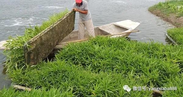 微信图片_20210705094531.jpg