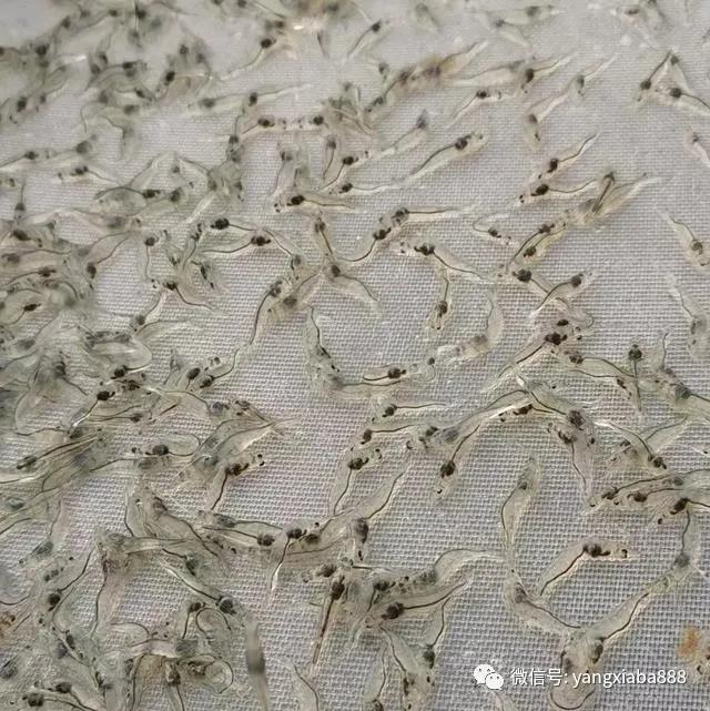 微信图片_20210708110150.jpg