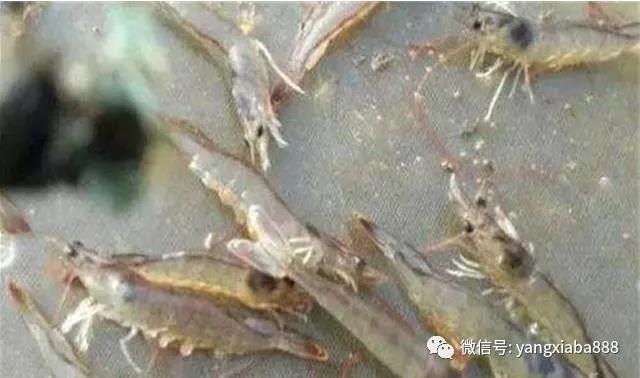 微信图片_20210714143927.jpg