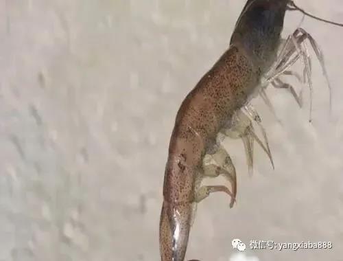 微信图片_20210714143933.jpg