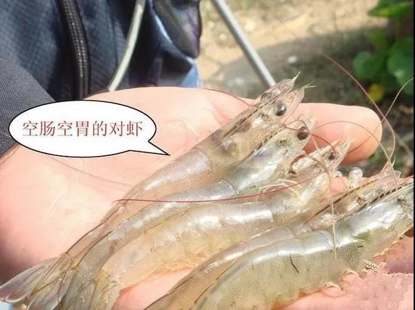 微信图片_20210806143818.jpg