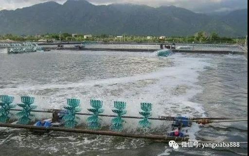微信图片_20210813153601.jpg