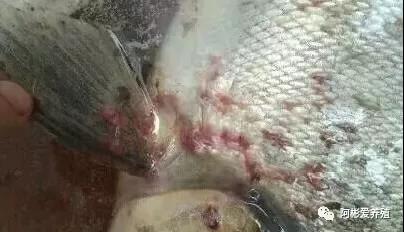 微信图片_20210817113138.jpg