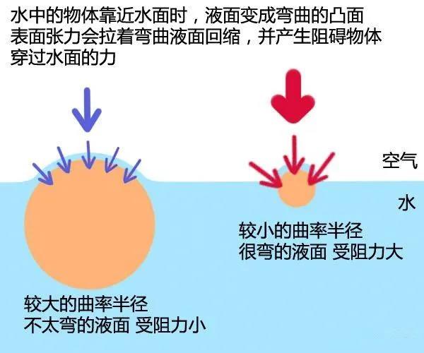 微信图片_20210818112050.jpg